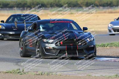 media/Sep-17-2023-Speed Ventures (Sun) [[7e780ba612]]/Green/Session 1 (Grapevine)/